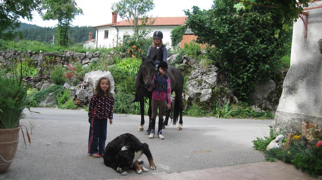 Tourist Farm Dujceva Domacija Villa Vremski Britof Екстериор снимка