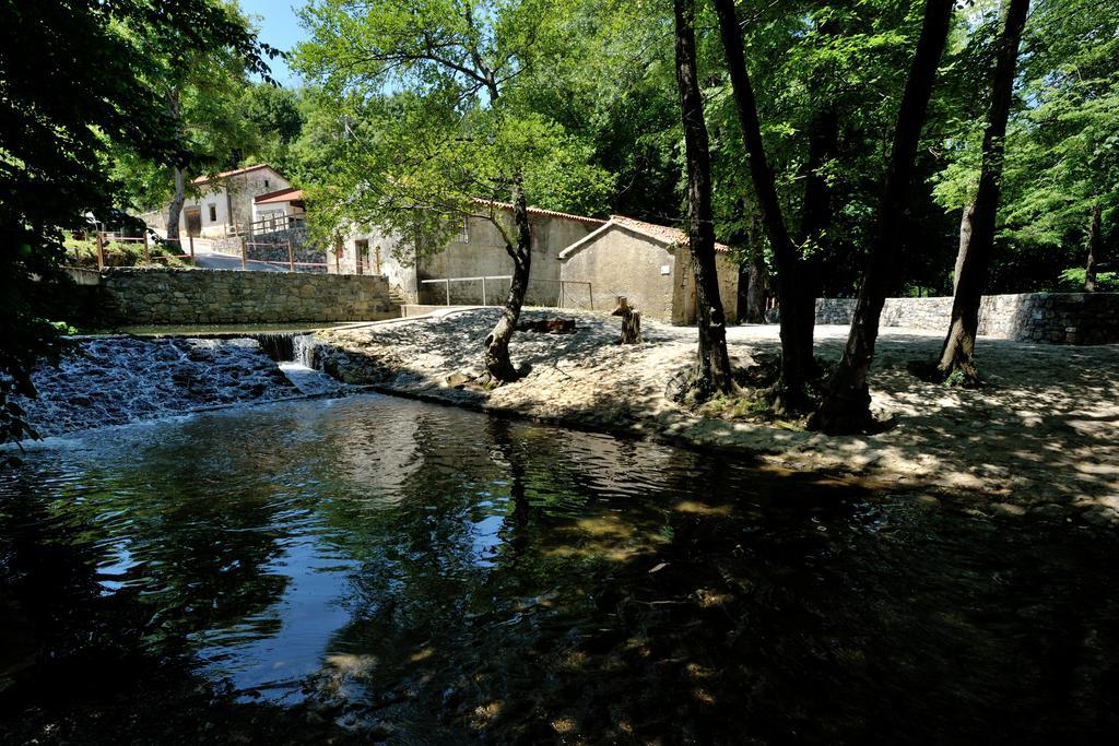 Tourist Farm Dujceva Domacija Villa Vremski Britof Екстериор снимка